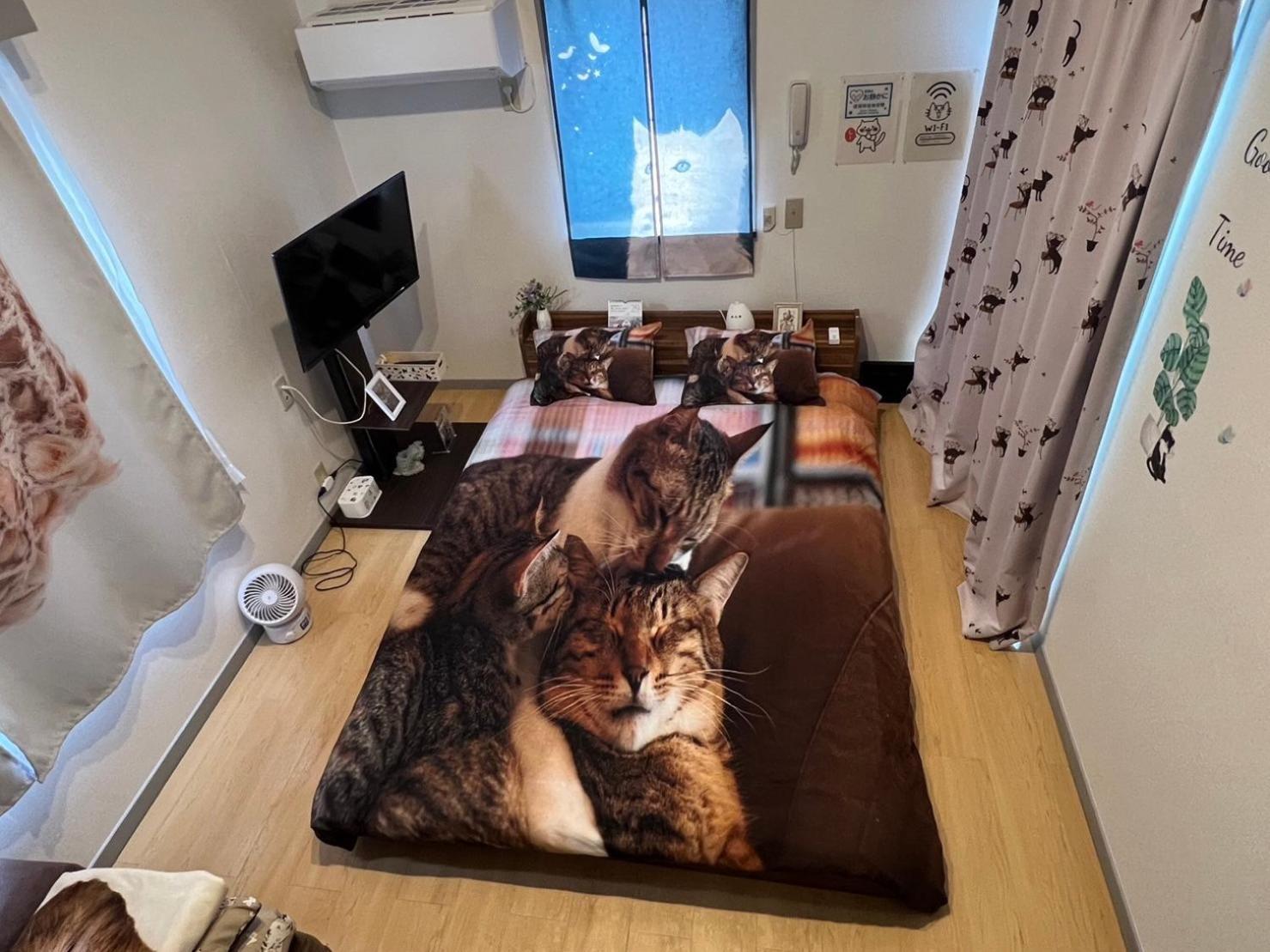 Appartement Tokyo Shibuya Shinjyuku Cat House ! Extérieur photo
