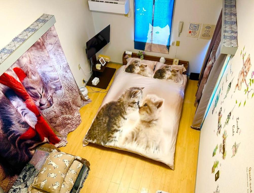 Appartement Tokyo Shibuya Shinjyuku Cat House ! Extérieur photo